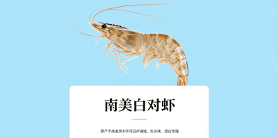 虾的种类